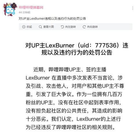B站处罚百万粉丝UP主LexBurner 封禁账号并追究法律责任_手机新浪网