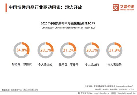 2023年中国情趣用品行业发展现状及未来发展趋势预测报告_市场_特征分析_数据