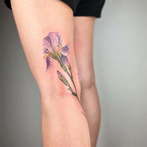 文身艺术家补丁 的想法: 手稿画的紫色鸢尾花，有一些技法上的疑惑… - 知乎