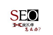 百度SEO常用的关键词优化策略及技巧（提高网站在搜索引擎中的排名）-8848SEO
