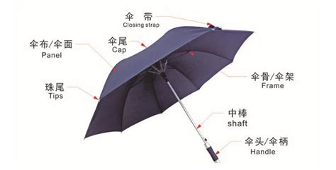 ZDS016全自动经典款式雨伞-杭州优雅公司|杭州优雅公司,雨伞生产厂家,雨伞定制