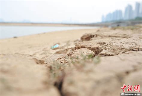 江西发布枯水预警 部分河流现历史最低水位[组图]_图片中国_中国网