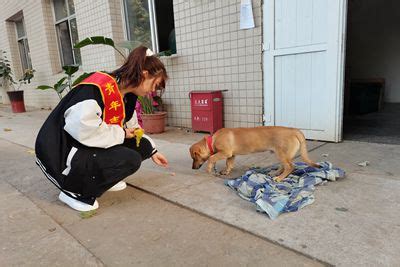 文学院初心志愿者协会社区队开展喂养流浪猫狗活动-共青团济南大学委员会