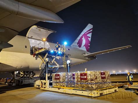 “入出通关手续同时办” 浦东机场提速卡塔尔航空在沪防疫运输-中国民航网