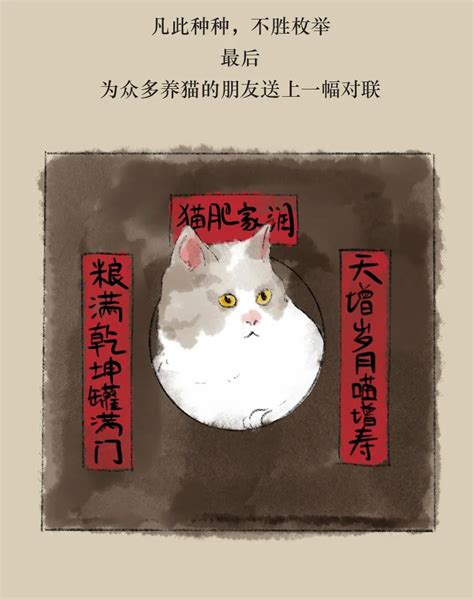 古人是怎么给猫取名字的？附中国独有的3大猫品种 - 胖萌舍宠物网