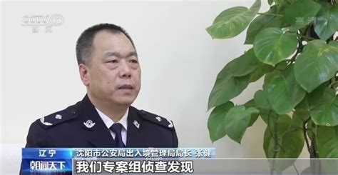 上海4名外籍犯罪嫌疑人被判刑并驱逐出境_法谭_新民网