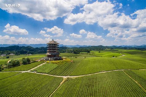 贵州将建1000个乡村振兴示范村(附名单） - 多彩贵州文化旅游研究院