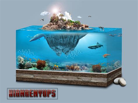 海底世界动画桌面,超清海底动态壁纸,桌面动态壁纸海底_大山谷图库