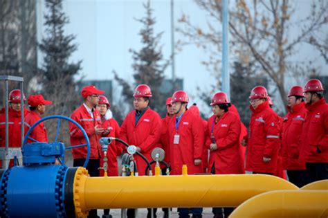 青海省住建厅领导来西宁公司检查指导工作|中油中泰燃气投资集团有限公司