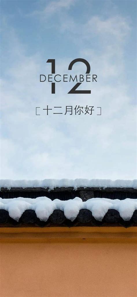 你好美女图片