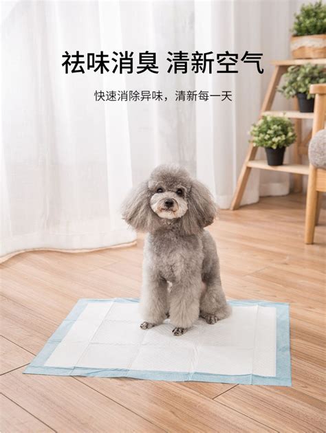 宠物狗尿垫 循环使用可洗防尿隔尿狗尿片吸水狗尿垫训导狗尿片-阿里巴巴