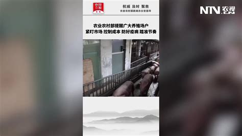 济宁山东肉狗养殖基地_肉狗养殖_郓城万农养殖有限公司