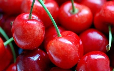 车厘子和樱桃究竟是不是同一种水果-车厘子和樱桃是同一种水果吗-车厘子的功效和作用 - 见闻坊