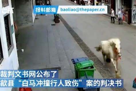 黄山一匹白马在街头撞伤七旬老人 马主被判赔20余万_凤凰网视频_凤凰网