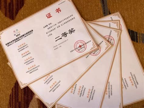 创客大赛防伪荣誉证书模板图片下载_红动中国