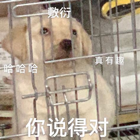 今日份的沙雕图图片