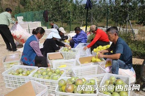 吴堡：绿色发展托起民生福祉-吴堡县人民政府