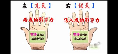 三张图教你手相看左手还是看右手|先天|手相|左右手_新浪新闻