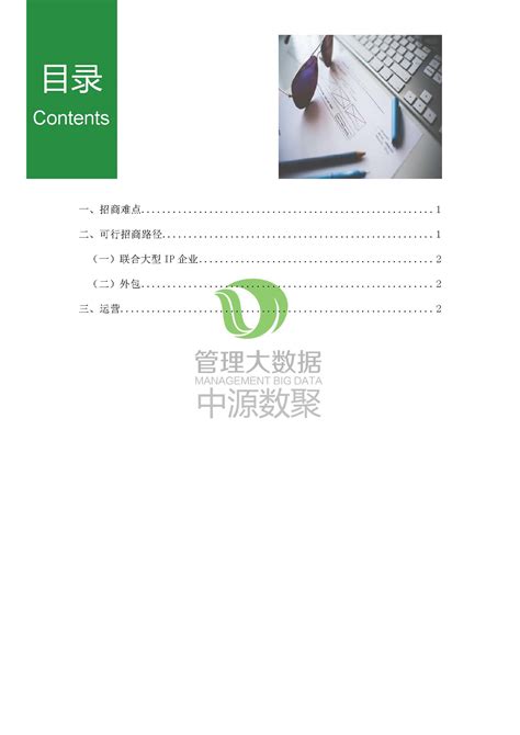 商业地产招商运营管理策划方案Word模板下载_熊猫办公
