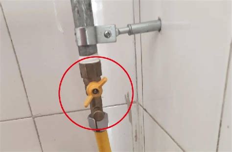 因维人 的图像结果