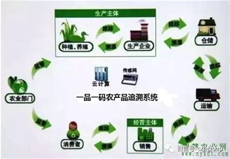 农产品质量溯源系统的原理-南京及时雨农业科技有限公司