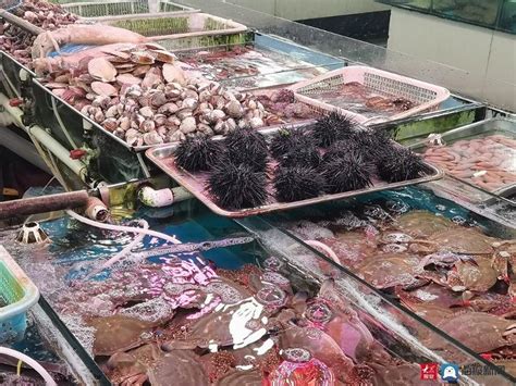 青岛年味儿|逛市场买海鲜 营口路海鲜市场进入“春节模式” - 青岛新闻网