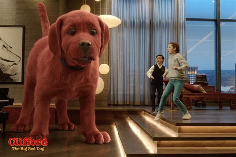 大红狗在一个晚上长得跟大象般大《大红狗克里弗》_高清1080P在线观看平台_腾讯视频