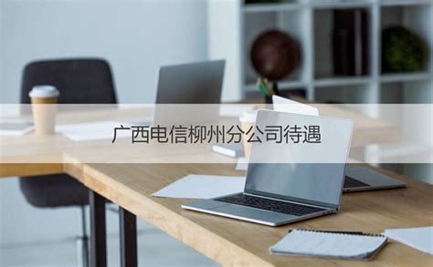 中国电信员工待遇：正式工年收入约6万__凤凰网