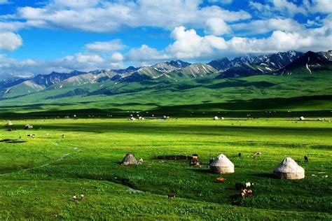 6月最佳旅游去处：伊犁河谷