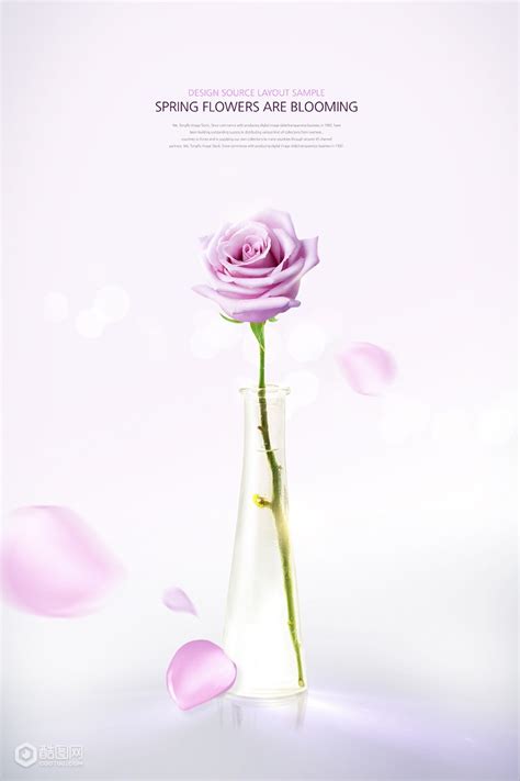 苏醒玫瑰浅蓝背景花卉绿植鲜花主题海报-广告海报-平面广告素材-酷图网