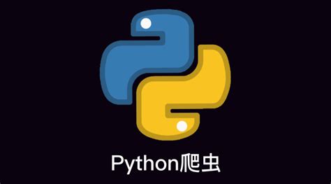 Python爬虫入门教程 （适合初学者）_爬虫python入门-CSDN博客