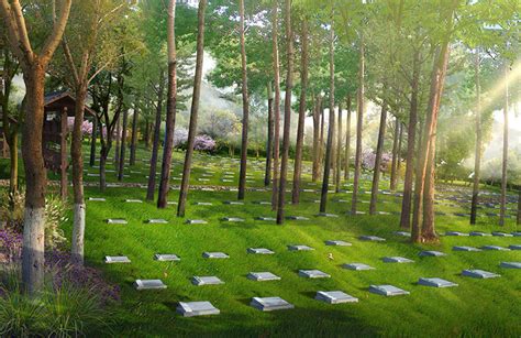 正清明，杭州各大公墓写满思念；不少家长带孩子来烈士陵园献花