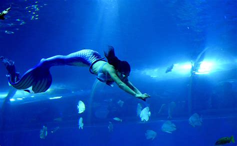 实拍威海威高海洋馆美人鱼表演，精美绝伦，如梦如幻，是我看过的最美的美人鱼