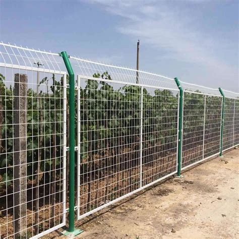 1.8米-围墙绿化护栏-安平县东隆金属护栏网业制造有限公司