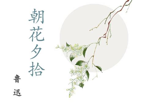 朝花夕拾动漫头像图片 朝花夕拾动漫头像图片