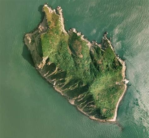 中国境内的蛇岛，岛上的毒蛇数不清，没人知道它们从何而来|蛇岛|蝮蛇|岛屿_新浪新闻