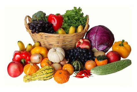 哪些蔬菜可以减肥 - 知乎