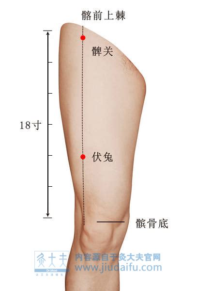 两髀最准位置图图片