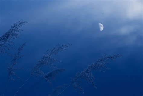 诗意月亮,天空云彩,自然风景,摄影,汇图网www.huitu.com