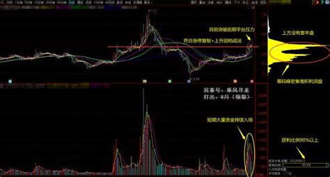 中国股市：最具潜力的6只低价龙头，后市有望迎来高爆发！ - 知乎