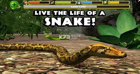 究极眼镜蛇模拟安卓正版下载-究极眼镜蛇模拟苹果越狱版下载v1.2-k73游戏之家