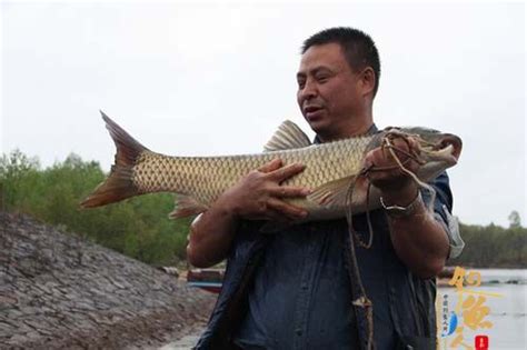 水库一条40斤的草鱼卖了8000元_中国钓鱼人网