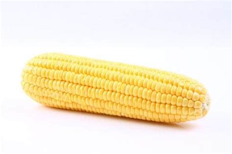 玉米是什么朝代开始有的？