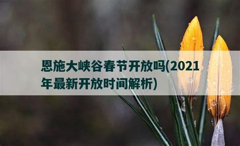 2024龙年,元旦,节日素材,设计模板,汇图网www.huitu.com