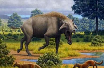 地球远古时期10大最凶猛的动物，个个都是史前猛兽，你都认识吗？
