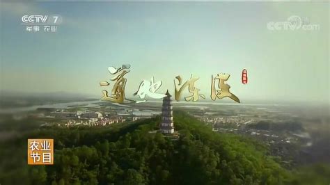 CCTV7专题片：永远是光伏行业服务的专业创新者！上海艾灵会展成功承办AsiaSolar2017--公司动态--上海艾灵会展有限公司