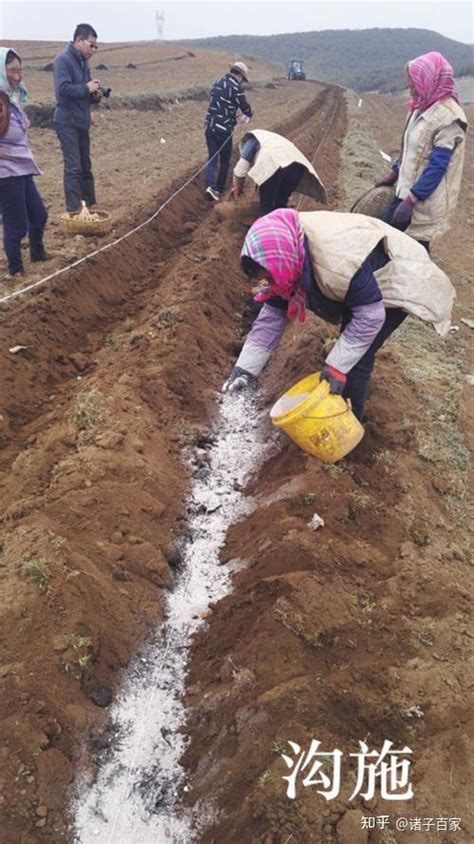 旱地宝农业保水剂 厂家园林绿化保水剂 花卉土壤改良剂-阿里巴巴