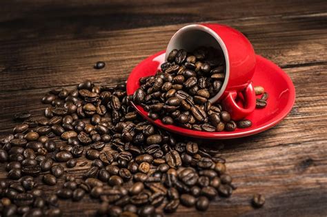 中国精品咖啡 中国云南咖啡 了解中国云南咖啡豆的历史 中国咖啡网 05月02日更新