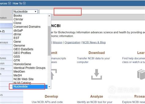 ncbi查找目的基因序列_实用教程——NCBI查询基因信息-CSDN博客