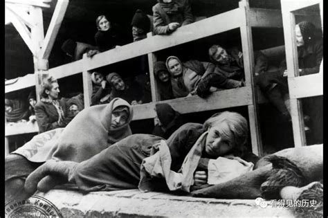 组图：奥斯维辛集中营的女人 (10)--国际--人民网